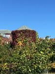 IMG_0369.JPG