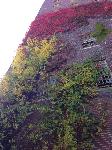 IMG_4638.JPG