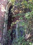 IMG_4642.JPG