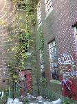 IMG_4652.JPG