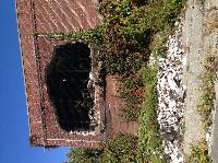 IMG_4663.JPG