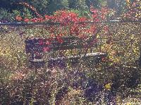 IMG_4680.JPG