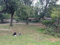 IMG_4689.JPG