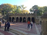 IMG_4776.JPG