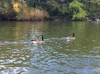 IMG_4800.JPG