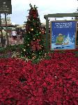 IMG_1976.JPG