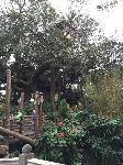 IMG_2079.JPG
