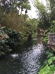 IMG_2080.JPG