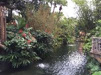 IMG_2081.JPG