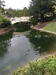IMG_2083.JPG
