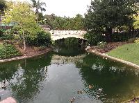 IMG_2084.JPG