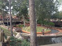IMG_6323.JPG