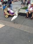 IMG_6384.JPG