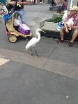 IMG_6385.JPG