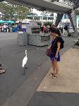 IMG_6390.JPG