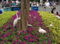 IMG_6391.JPG