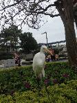 IMG_6397.JPG