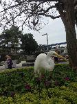 IMG_6399.JPG