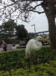IMG_6400.JPG