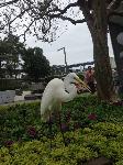IMG_6404.JPG