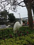 IMG_6406.JPG