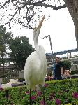 IMG_6407.JPG