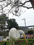 IMG_6410.JPG