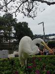 IMG_6412.JPG