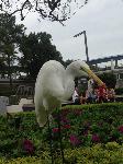 IMG_6416.JPG