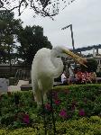 IMG_6417.JPG