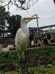 IMG_6419.JPG
