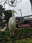 IMG_6420.JPG