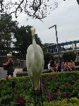 IMG_6424.JPG