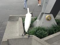 IMG_6430.JPG