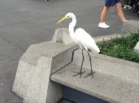 IMG_6432.JPG