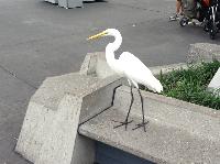 IMG_6433.JPG