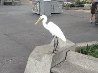 IMG_6434.JPG