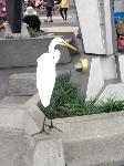 IMG_6437.JPG