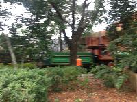 IMG_6686.JPG