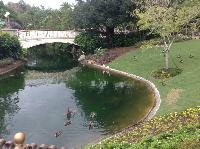IMG_6863.JPG