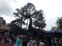 IMG_6568.JPG