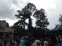 IMG_6573.JPG