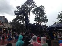 IMG_6575.JPG