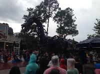IMG_6578.JPG