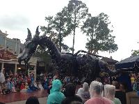 IMG_6580.JPG