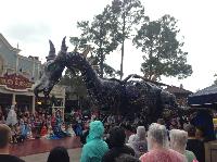 IMG_6581.JPG