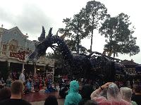 IMG_6585.JPG