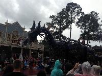 IMG_6587.JPG
