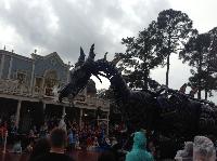 IMG_6589.JPG