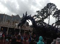 IMG_6590.JPG